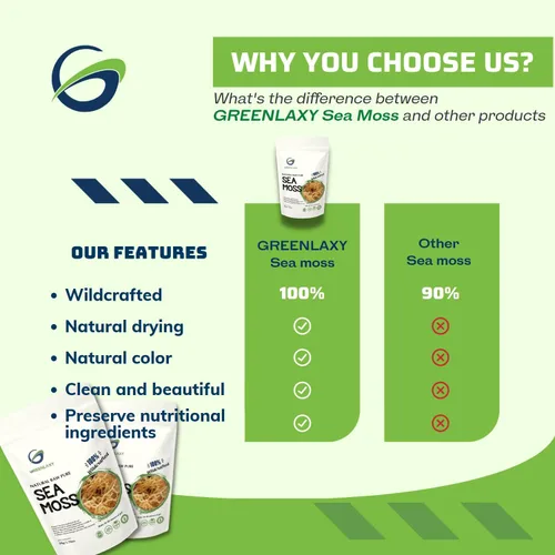Vista 7 de Musgo marino orgánico crudo – 100% silvestre secado al sol Sin OMG Hace 30-40 onzas de gel Mejora el sistema inmunológico, piel saludable
