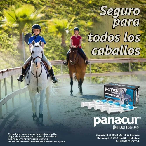 Vista 7 de MERCK ANIML Health/DURVET Panacur Powerpac Dewormr Fenbendazole 1 Pack 2.01 oz Pasta 10%