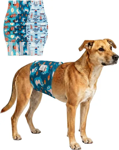 Vista 34 de CuteBone - Pañales lavables para perro macho, banda abdominal, paquete de 3 unidades, color negro, modelo DM54XS