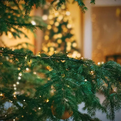 Vista 5 de Guirnalda de luces de Navidad con enchufe de extremo a extremo, 8 modos, 108 pies, 300 LED, IP55, impermeable, con certificación UL