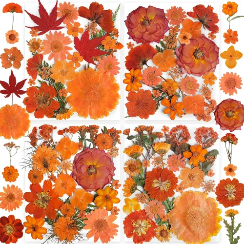 Vista 17 de 150 piezas de flores azules secas prensadas con pegatinas de mariposas - Juego de flores naturales reales de YouthBro para manualidades de resina