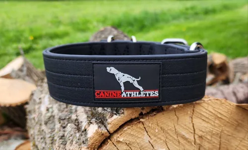 Vista 2 de Canine Athletes Collar para perro de trabajo de doble capa impermeable AP-Sport de 2 pulgadas (tamaño pequeño)