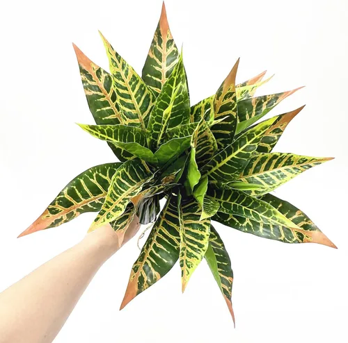 Vista 4 de PASYOU Planta artificial de Aglaonema, plantas falsas de Codiaeum Variegatum, 2 unidades, arbustos de plástico de hoja perenne de magnolia