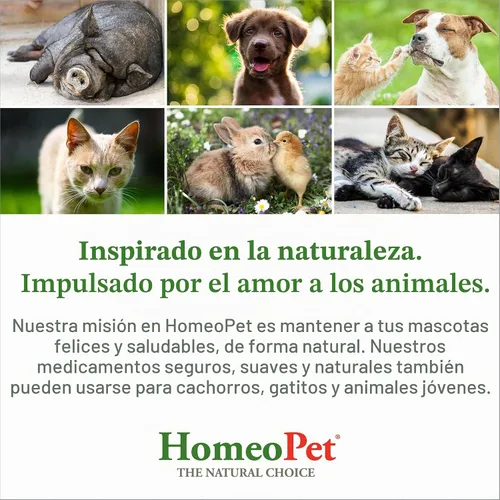 Vista 6 de Homeopet UTI Plus para infecciones urinarias para gatos, 0.5 oz
