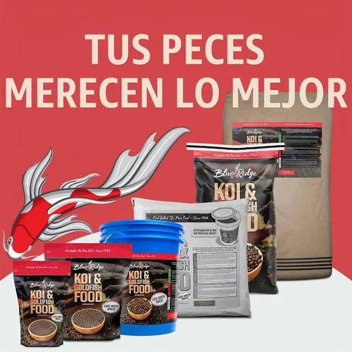 Vista 7 de Blue Ridge - Alimento para peces Koi de trigo con agua fría, pellets de 3