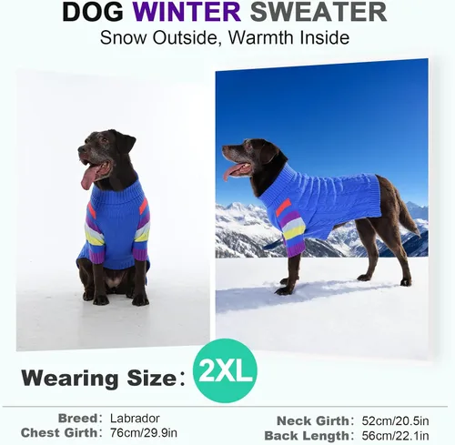 Vista 7 de Suéter XS para perro, suéter de cuello alto con manga para Yorkie Azul