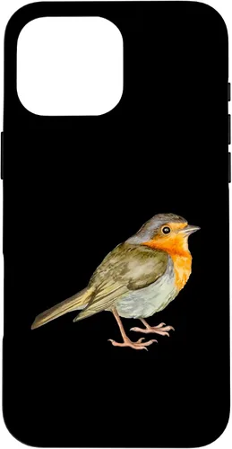 Vista 19 de Robin Bird Case for iPhone 17
