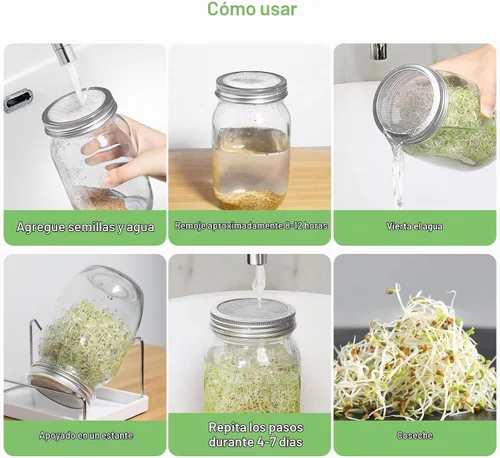 Vista 2 de Kit de tarros de germinación de semillas – 2 tarros de masón de boca ancha con tapas de germinación de acero inoxidable 316, bandeja de goteo
