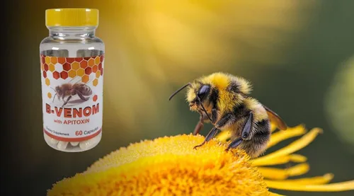 Vista 2 de B - Veneno de Abeja Veneno con sulfato de glucosamina veneno abeja 60 cápsulas 1 Botella. Todo Natural