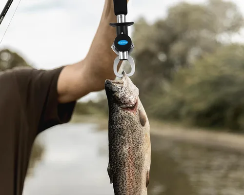 Vista 7 de Pinza de pescado con cinta métrica retráctil de pescado pinza de labios de pescado con escala para pesca