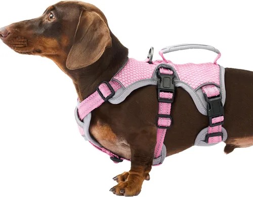 Vista 32 de Huntboo - Arnés para perro a prueba de escape, arnés reflectante con asa, duradero, chaleco ajustable para perros pequeños, medianos y grandes