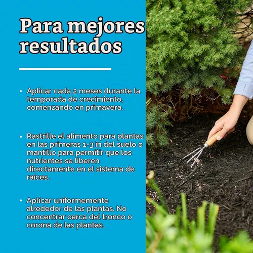 Vista 10 de Scotts Árbol de hoja perenne, árbol y arbusto en flor Alimento vegetal