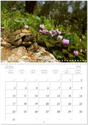 Vista 9 de REPTILES (calendario mensual de pared 2022 11.7 x 16.3 in (abierto)