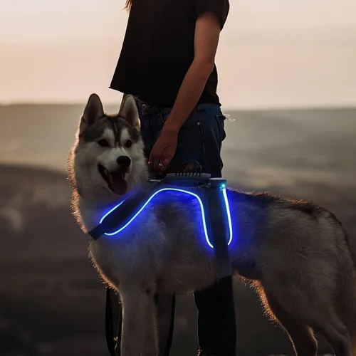 Vista 6 de MASBRILL Arnés con luz para perro, arnés iluminado para perro, recargable, sin tirones, arnés ajustable con luz LED para perros pequeños, medianos