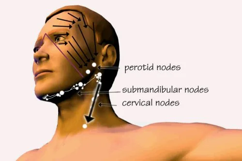 Vista 3 de Lymphatic Drainage Massage