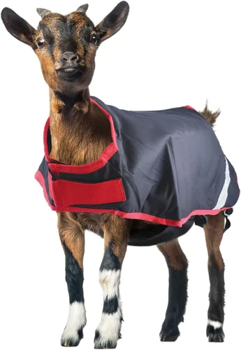 Vista 5 de Horseware Ireland RAHG21-JISK - Abrigo de cabra Excalibur/plateado, XL
