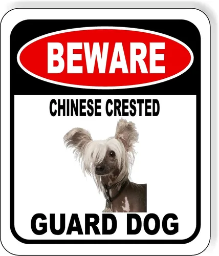 Vista 67 de BEWARE BASSETT HOUND GUARD DOG - Letrero compuesto de aluminio para exteriores, 8.5 x 10 pulgadas CUIDADO BASSETT HOUND GUARD PERRO