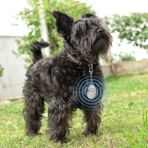 Vista 4 de Antiparásitos por Ultrasonidos Recargable para Mascotas PetRep InnovaGoods