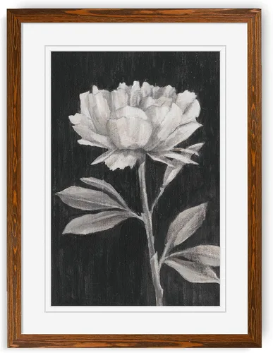 Vista 52 de Renditions Gallery- Lienzo enmarcado con flores blancas y negras Flores blancas y negras 1 juego/marco negro