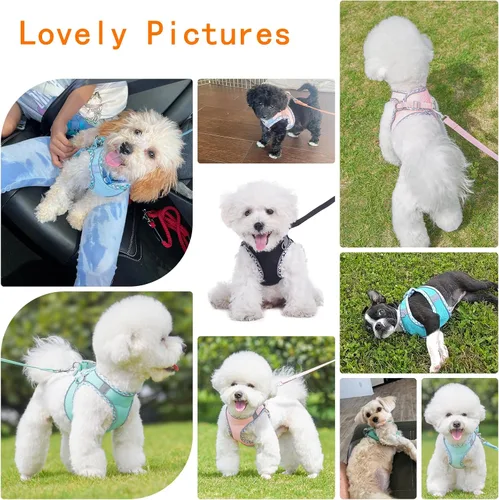 Vista 6 de Lindo arnés a cuadros para perros pequeños, de malla suave, arnés y correa para perros pequeños, arnés y correa para perros pequeños, chaleco