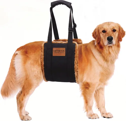 Vista 10 de Arnés de elevación ajustable para perros, honda grande de la ayuda Negro