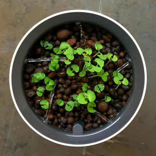 Vista 5 de Botanium Maceta hidropónica y automática para interiores, color gris