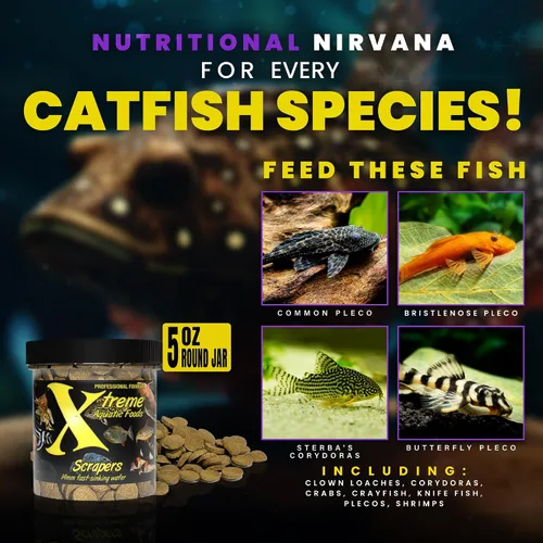 Vista 3 de Xtreme Scrapers - Obleas de 0.551 in - Pleco, bagre y locha para pescado