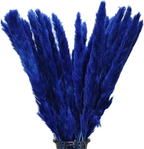 Vista 2 de 30 piezas pequeñas de hierba de las pampas secas arreglo floral natural seco