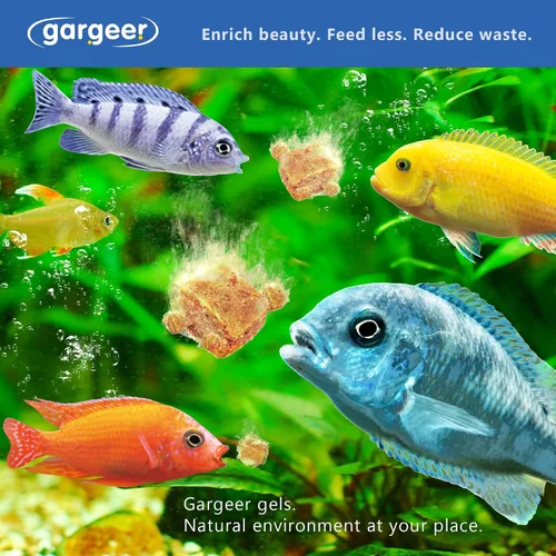 Vista 6 de Gargeer Alimento de pescado cíclido africano de 3 onzas para criadores avanzados. Dieta completa de gel cíclidos africanos para jóvenes y adultos.