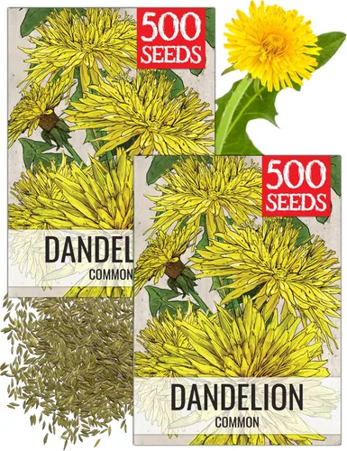 Vista 14 de Seed Needs - Semillas de achicoria para plantar flores azules de diente de león italiano, 1 paquete