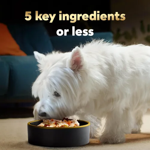Vista 3 de CESAR SIMPLY CRAFTED - Alimento húmedo suave para perros adultos, paquete variado de pollo, zanahorias, patatas y guisantes y carne de res, pollo