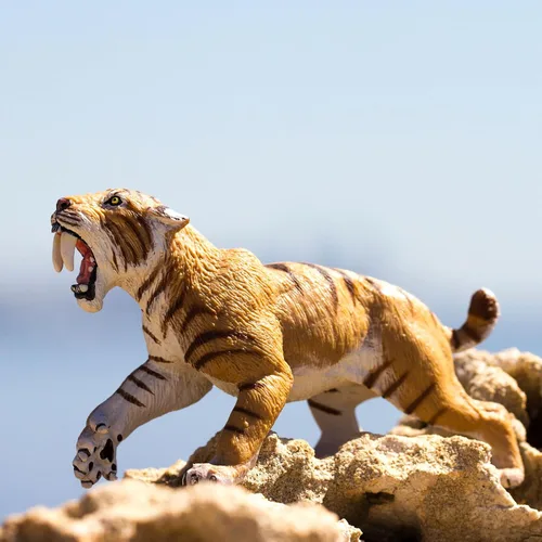 Vista 8 de Safari Ltd. Smilodon Figura de tigre dentado de sable de 4 pulgadas, juguete educativo para niños, niñas y niños a partir de 3 años