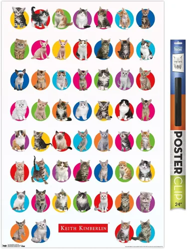 Vista 19 de Trends International Keith Kimberlin - Póster de pared de cuadrícula de gatito, 14.725 x 22.375 pulgadas, versión enmarcada de madera de granero