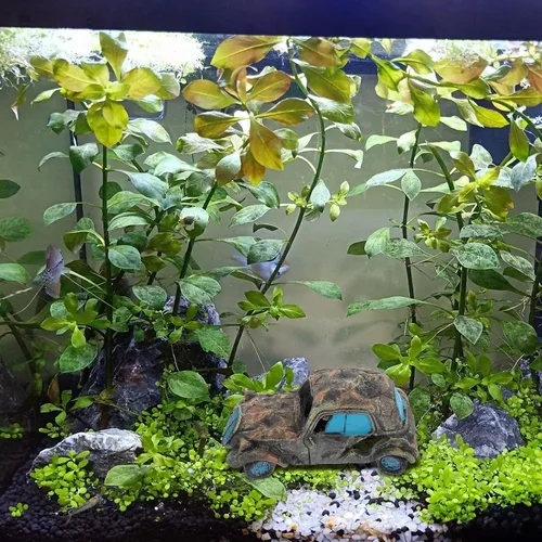 Vista 7 de Mipcase Paisajismo Escondite Acuario Paisaje Tanque Peces Camarones Decoración Ornamento Gris Cabaña Cuevas Decoración Escondite Adornos Automóvil