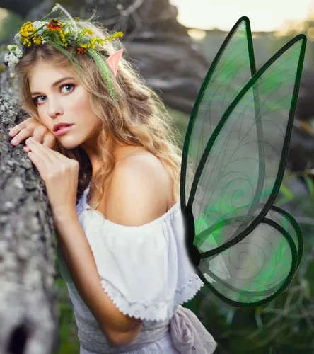 Vista 5 de HAIONA Alas de hadas para mujeres y niñas, alas brillantes y transparentes para Halloween, disfraz de cosplay, alas de mariposa, alas de ángel