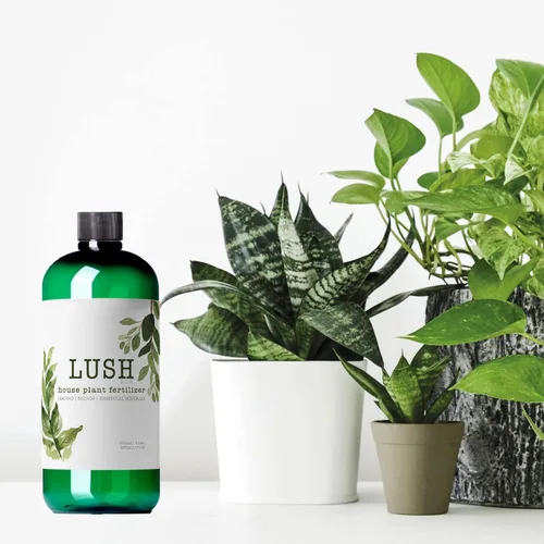 Vista 3 de NilocG Aquatics Fertilizante para plantas de interior exuberante