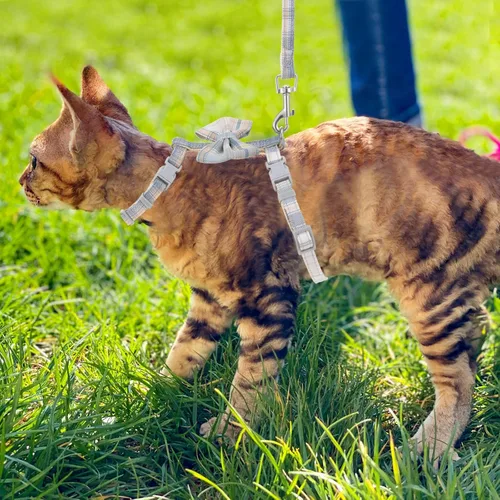 Vista 7 de TIESOME Juego de arnés y correa para gato, arnés ajustable degradado para gatito, arnés a prueba de escapes con correa para caminar al aire libre