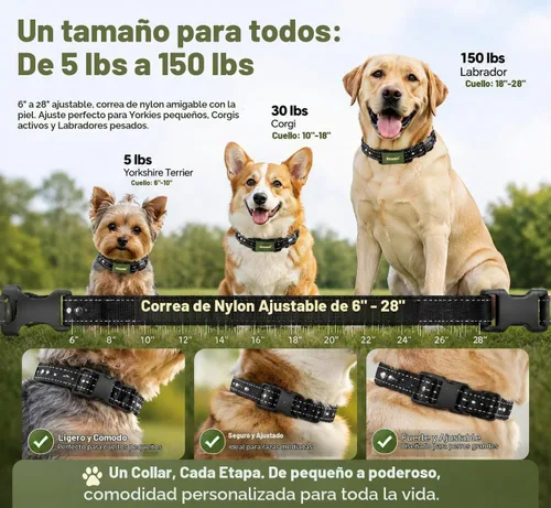 Vista 5 de Training Collar for Dogs with Remote Control, Green