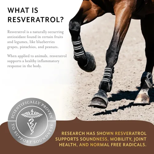 Vista 4 de Equithrive Suplemento original para caballos en polvo, sabor melaza, 8 libras