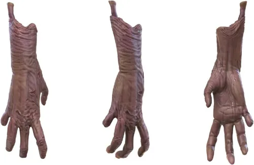 Vista 7 de Figura de acción FIG Biz Creepshow Creep 5IN