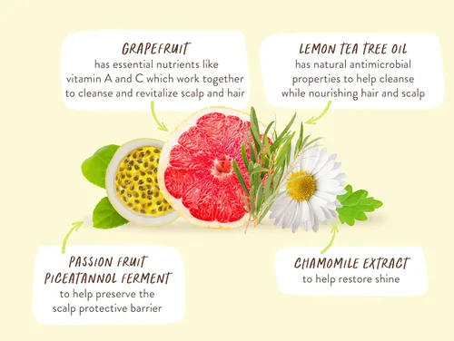 Vista 9 de Babo Botanicals Purifying Lemon Tea Tree & Grapefruit Shampoo + Bundle with Conditioner – For Flat, Oily Prone Hair – Add body & shine - Passion