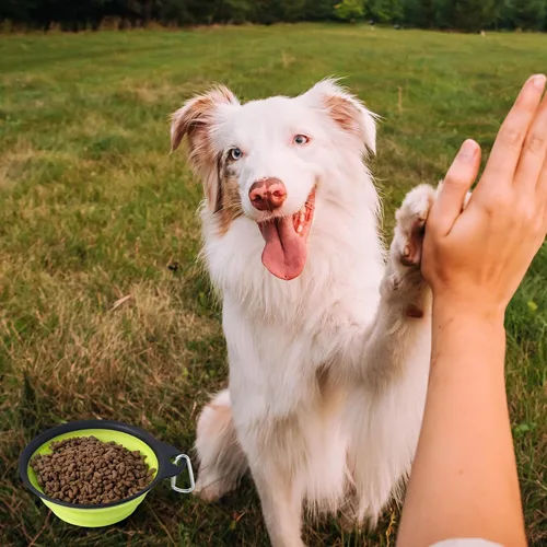 Vista 6 de SLSON Tazones plegables para perros y mascotas, paquete de 2 platos integrados moldeados para agua para gatos, dispensador de alimentos ligero