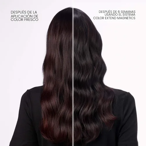 Vista 2 de Redken Color Extend Magnetics Shampoo & Conditioner For Color-Treated Hair - Gently Cleanses & Protects Color With Amino Acid