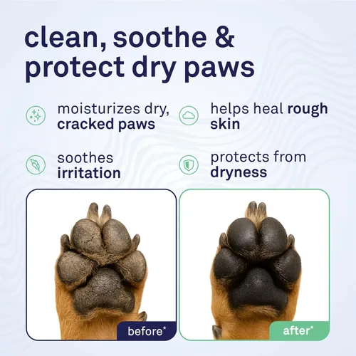 Vista 2 de Bálsamo para perros - Crema nutritiva que alivia la picazón y las patas secas del perro con ingredientes hidratantes - Aceite de coco orgánico