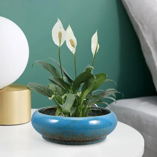 Vista 3 de GANAZONO Jardinera para plantas de agua, macetas de lirio de agua