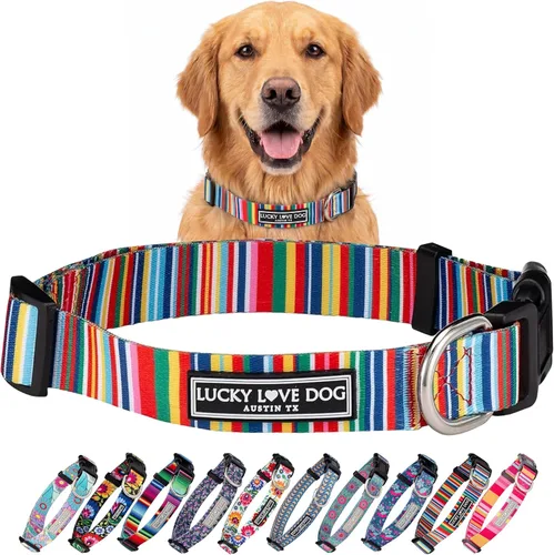 Vista 70 de Lucky Love Dog - Collar de perro ajustable con hebilla de fácil clic para los pequeños, duradero y cómodo para perros machos y hembras, collar