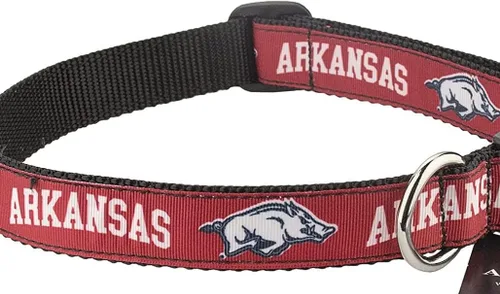 Vista 58 de Collar de Perro Universitario (Pequeño, Fuerza Aérea)
