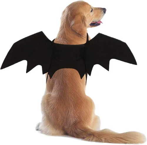 Vista 9 de Rypet - Disfraz de murciélago para perro, disfraz de mascota de Halloween, alas de murciélago para gatos y perros, XS