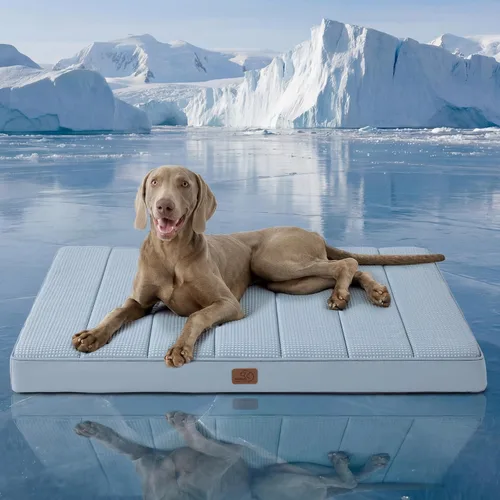 Vista 42 de Bedsure - Cama ortopédica pequeña para perros chicos, impermeable, con funda extraíble lavable, tapete de espuma con forma de huevera para mascotas