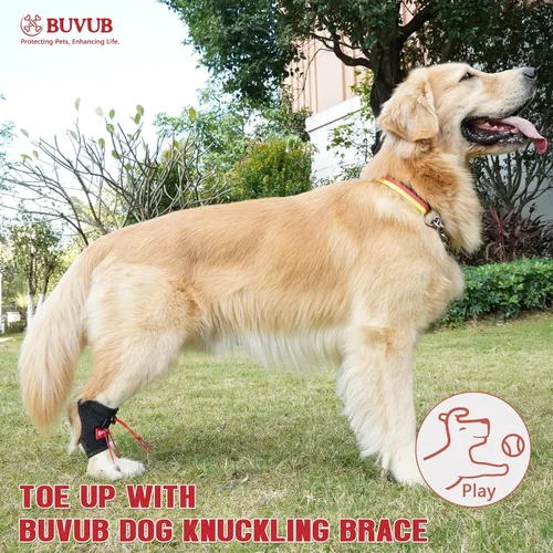 Vista 5 de Soporte para nudillos caninos para perro, pierna trasera, para pies de perro, para arrastrar los dedos de los pies, causa por insuficiencia